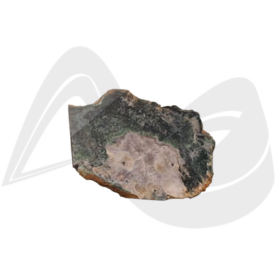 Imagem padrão