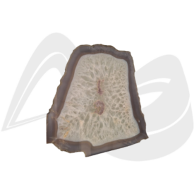 Imagem padrão