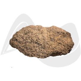 Imagem padrão
