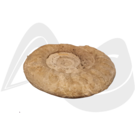 Imagem padrão