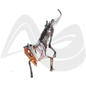 Imagem padrão