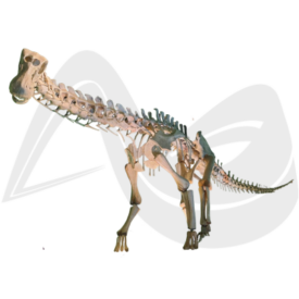 Imagem padrão