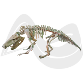 Imagem padrão
