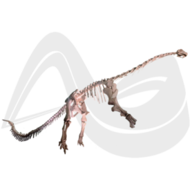 Imagem padrão
