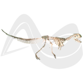 Imagem padrão