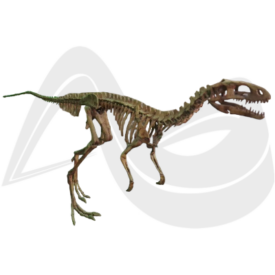 Imagem padrão