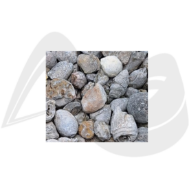 Imagem padrão
