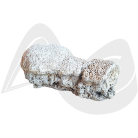 Imagem padrão