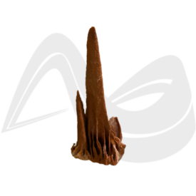 Imagem padrão