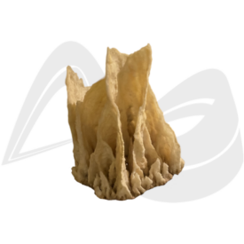Imagem padrão